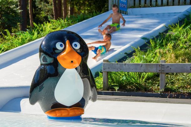 Pinguïn