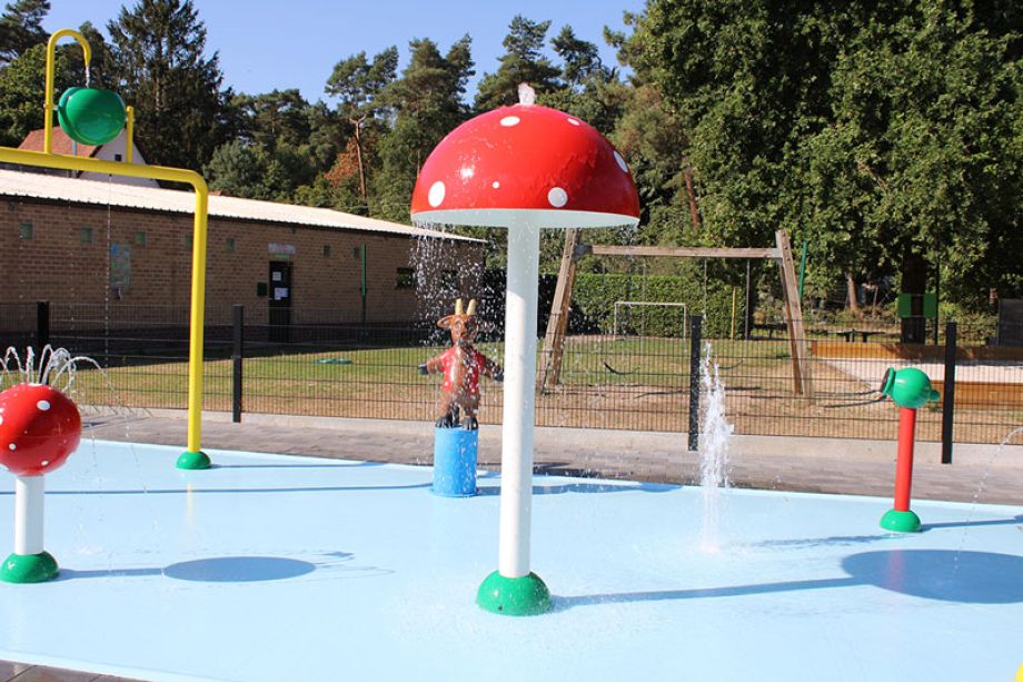 Waterpaddestoel